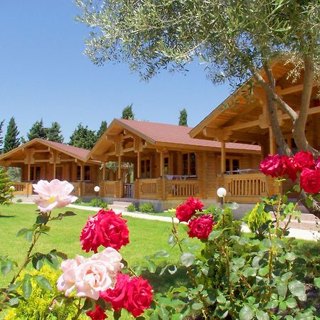 Sandys Studios Apartments And Log Villas Ψαλίδι Εξωτερικό φωτογραφία