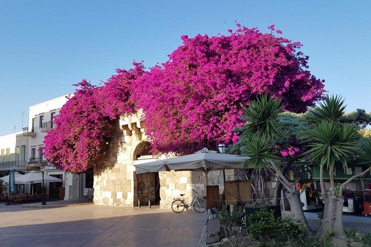 Sandys Studios Apartments And Log Villas Ψαλίδι Εξωτερικό φωτογραφία